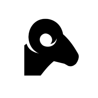 BS Agency